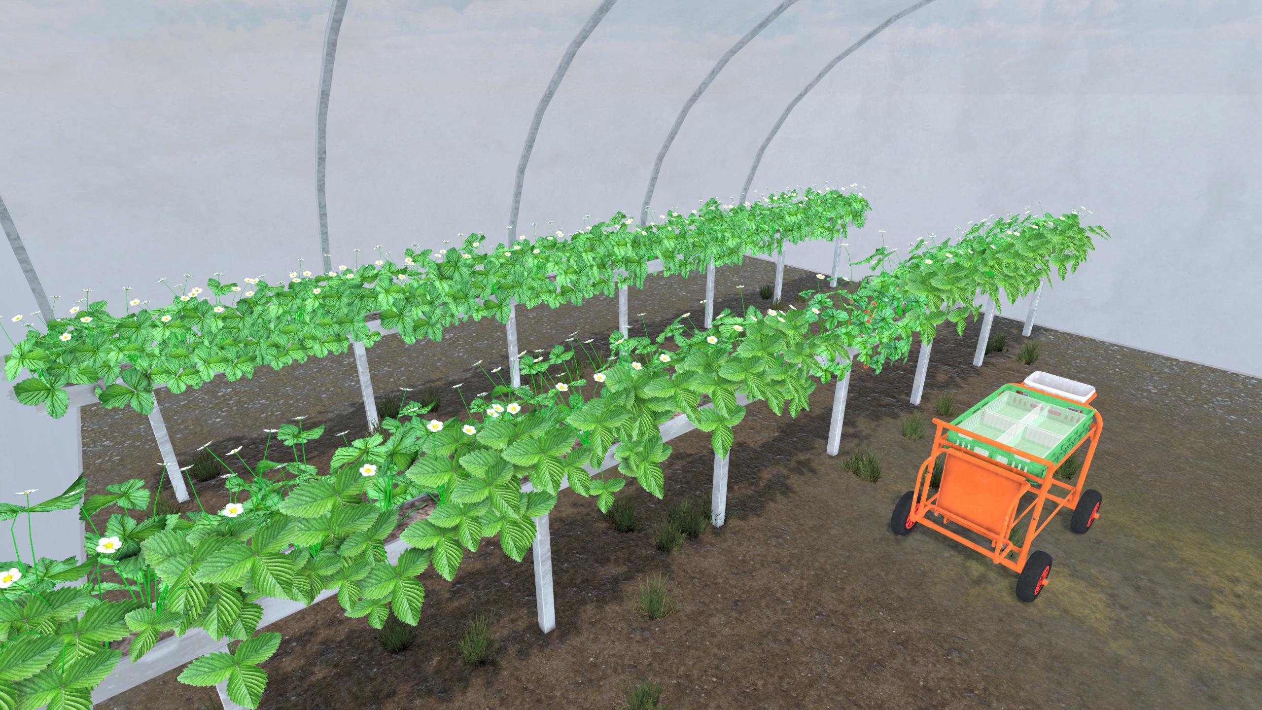 Agriculture Collecting Simulation